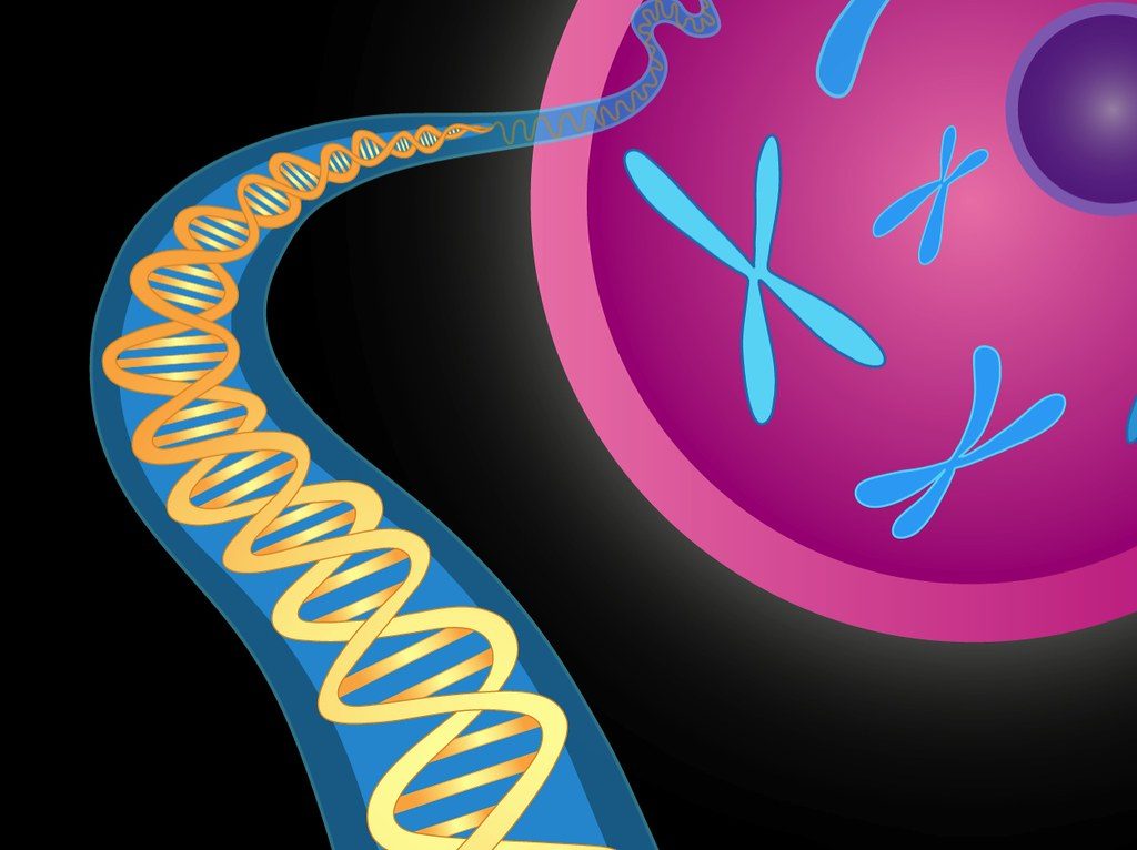 OpenAI's GeneBench-Pro Exposes AI's Genomics Judgment Gap, AI explainer